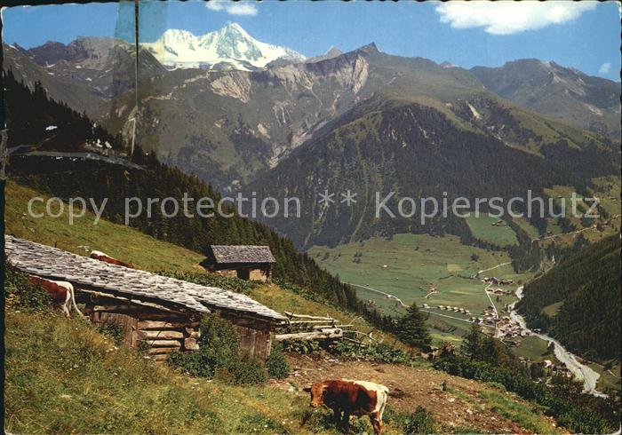 Kals Grossglockner Bergsteigerdorf Figeralm Koednitztal Grossglockner