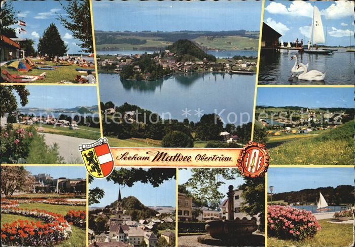 Seeham rund um die Trumer Seen Segeln Schwaene