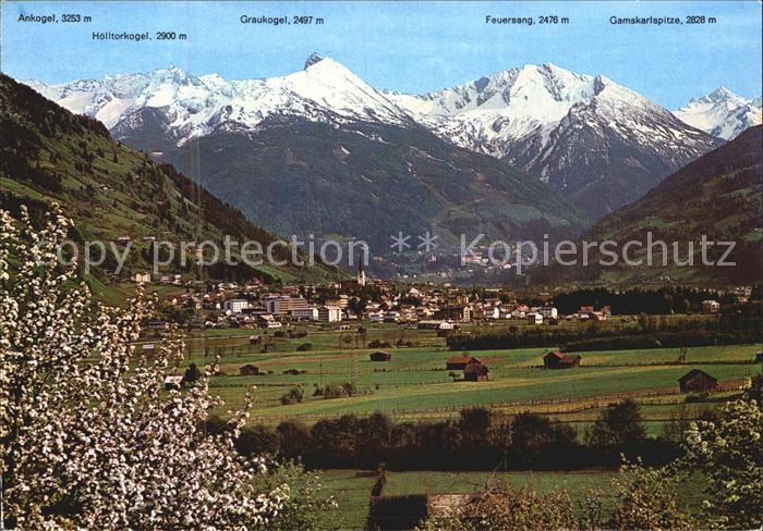 Bad Hofgastein Panorama mit Hohen Tauern Baumbluete