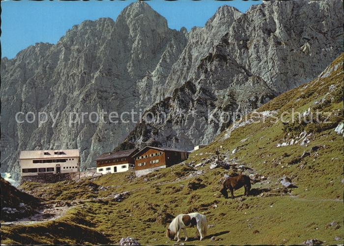 Gruttenhuette Alm Ponys Wilder Kaiser Kaisergebirge