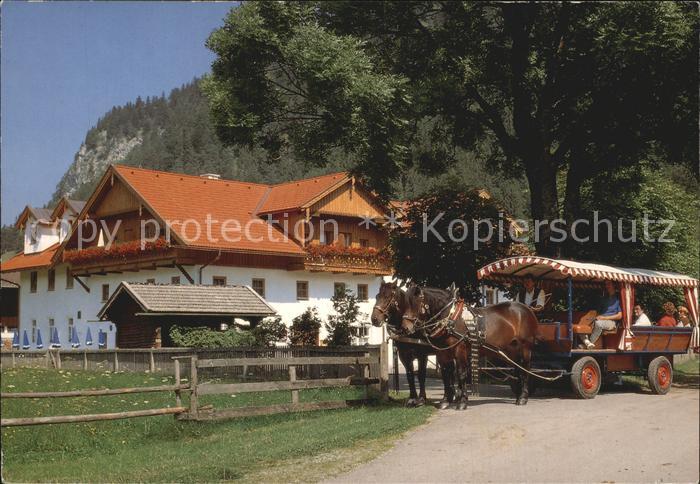 Pinswang Tirol Gasthof Schlurenhof Planwagen Pferde