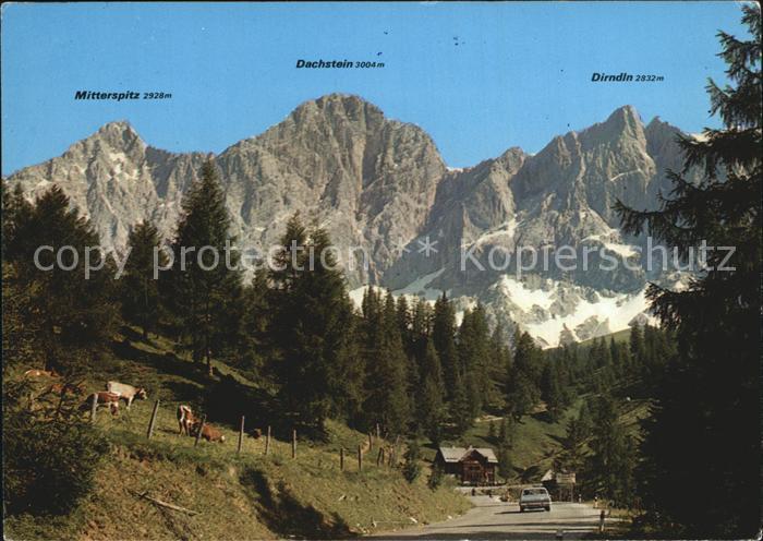 Filzmoos Hoehenstrasse zum Dachstein