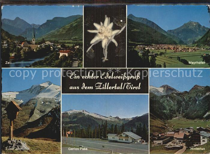 Mayrhofen Zillertal Alpenpanorama Zillertaler Alpen Zell Tuxer Joch Wegekreuz Ge