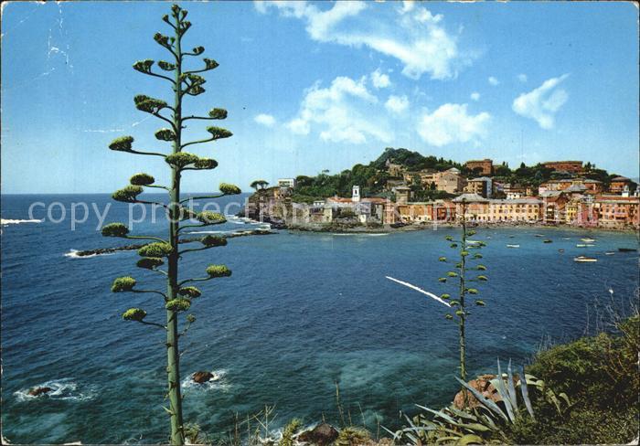 Sestri Levante