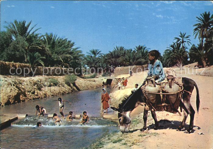 Tozeur Les Oasis Esel