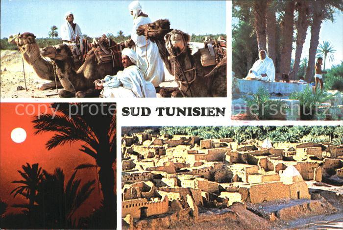 Tunis Kamele Teilansichten Typen