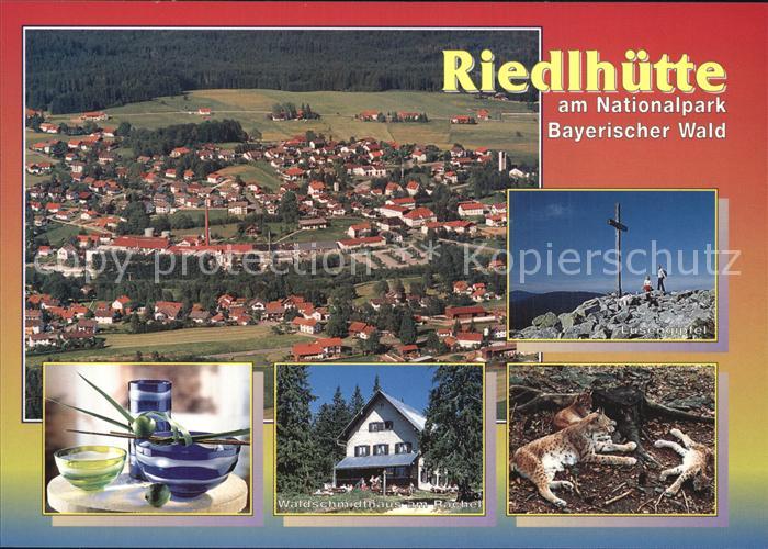Riedlhuette Waldschidthaus Rachel Luchse