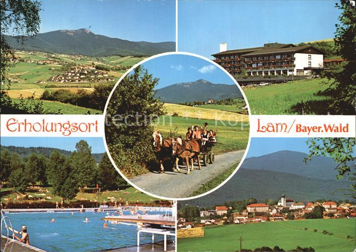 Lam Oberpfalz Pferdekutsche Schwimmbad