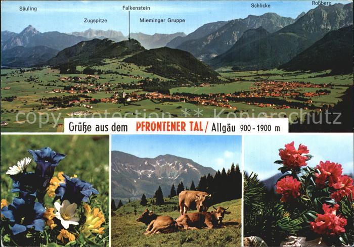 Pfronten Ostallgaeu Bayern Falkenstein Schlicke Rossberg