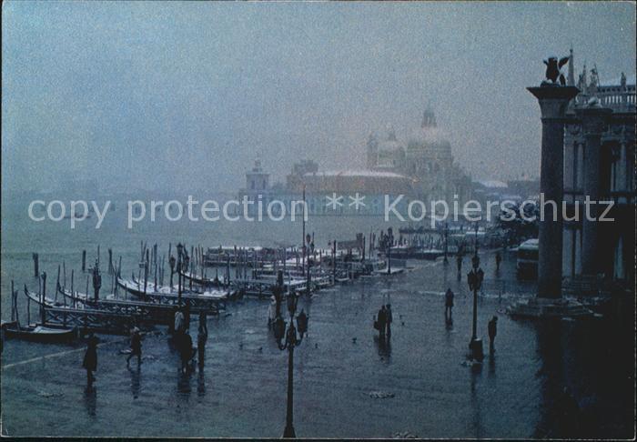 Venezia Venedig Il molo