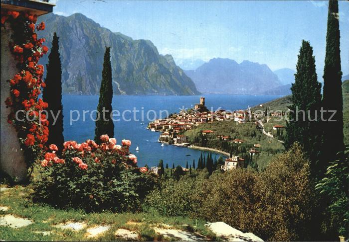 Malcesine Lago di Garda Blick auf den See