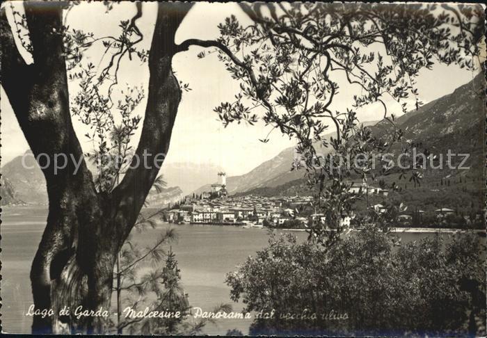 Malcesine Lago di Garda