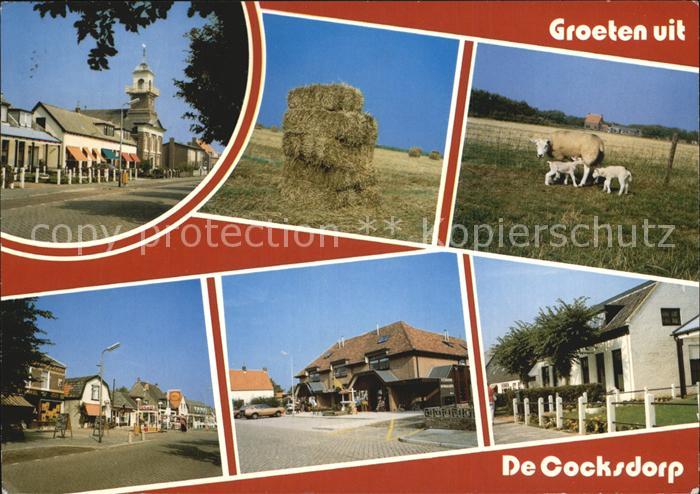 Texel Kirche