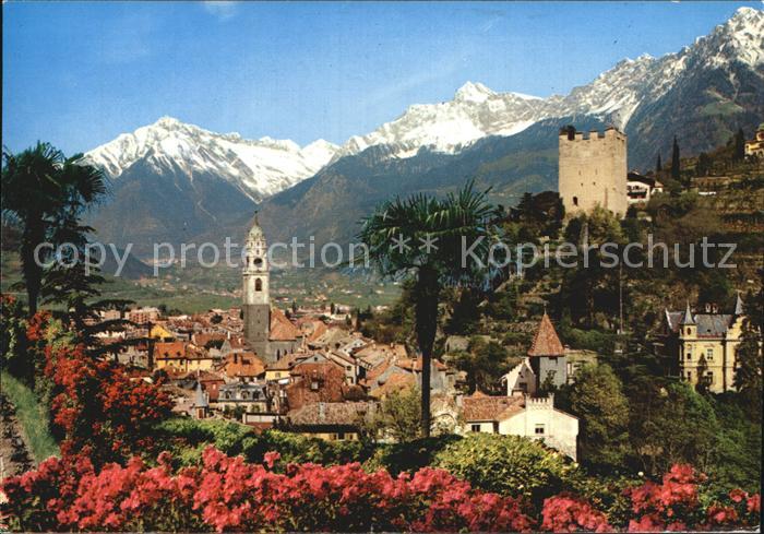 Merano Meran Panorama