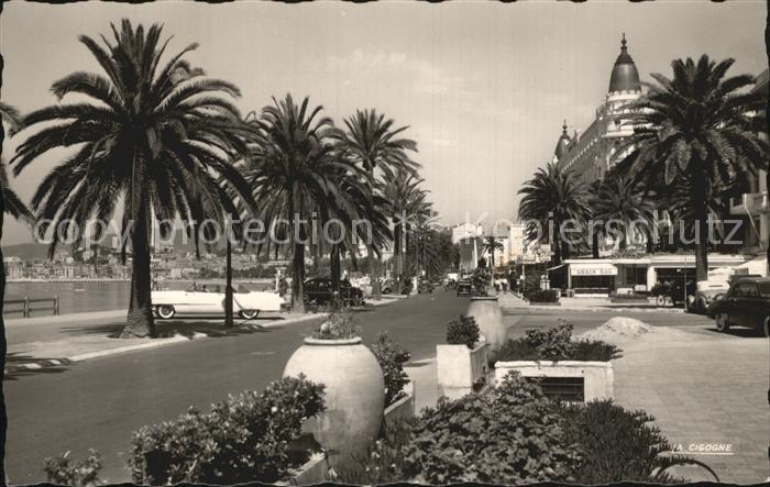 Cannes Alpes-Maritimes La Croisette