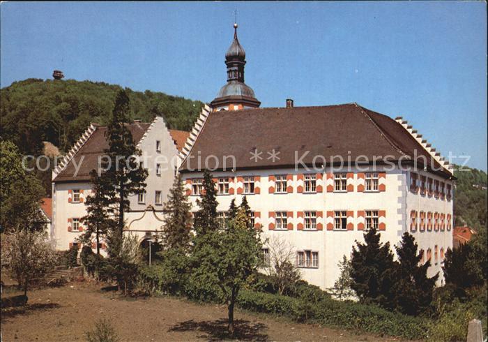 Waldshut-Tiengen Schloss