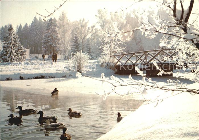 Bad Woerishofen Im Kurpark