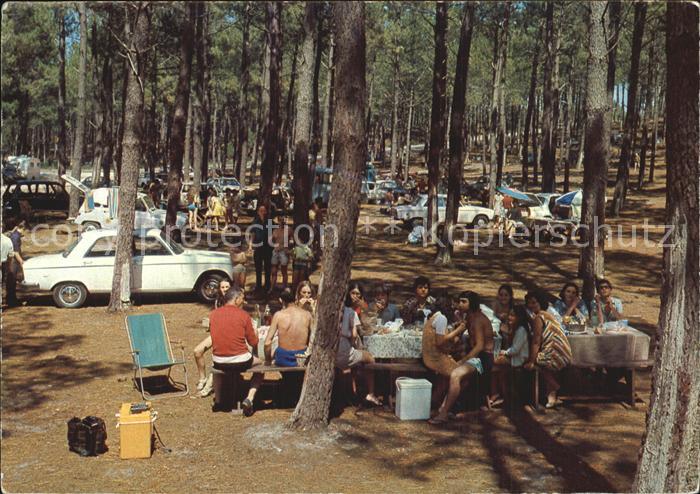 Biscarrosse Landes La Pays Landais