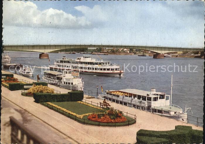 Bonn Rhein Rheinpromenade