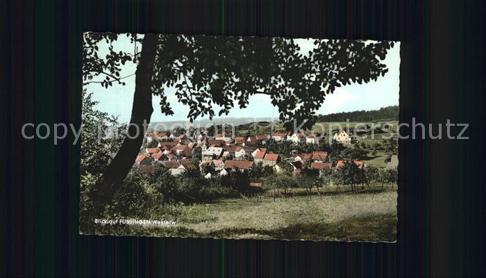 Fussingen Panorama