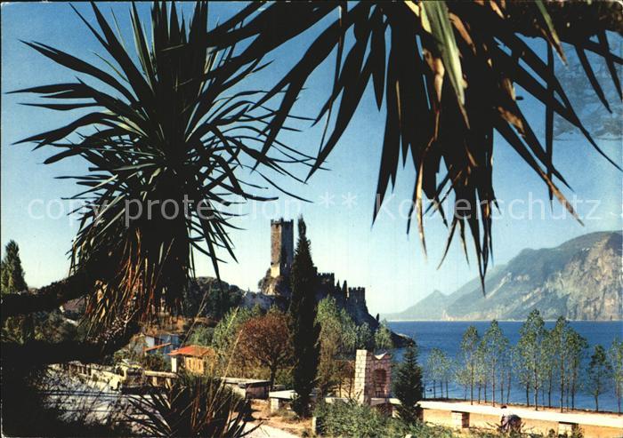 Malcesine Lago di Garda Il Castello fra i Palmizi