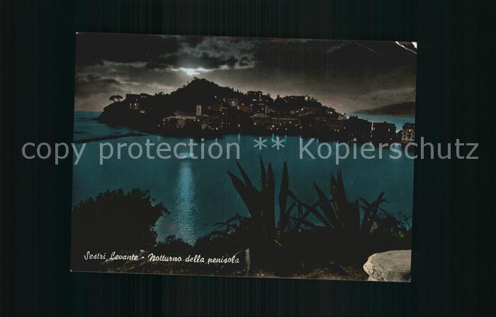 Sestri Levante Nocturne de la Presquile