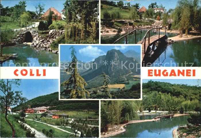 Colli Euganei e Parco Zoo Details