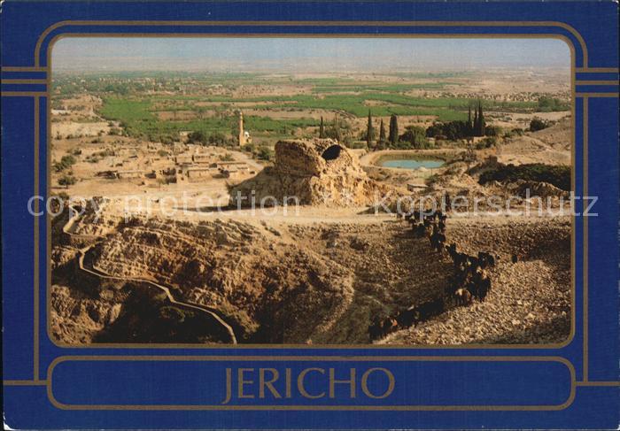 Jericho Israel Panorama