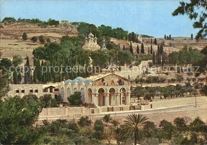 Jerusalem Yerushalayim Old City Basilica and Gardens of Gethsemane