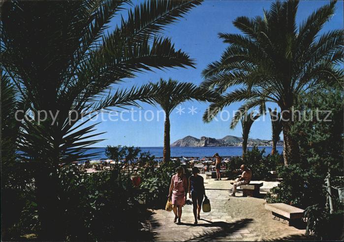 Benidorm Teilansicht Palmenallee