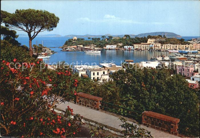 Isola d Ischia Panorama