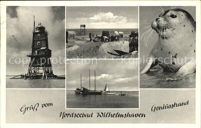 Wilhelmshaven  CITY Strand Leuchtturm Robbe