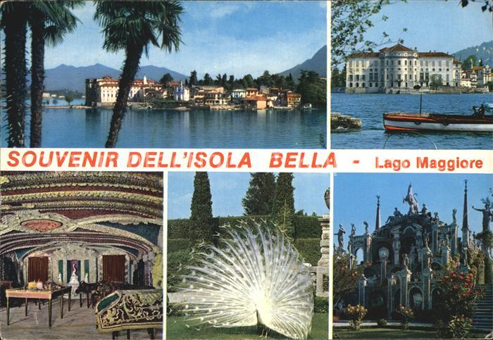 Isola Bella Lago Maggiore Pfau