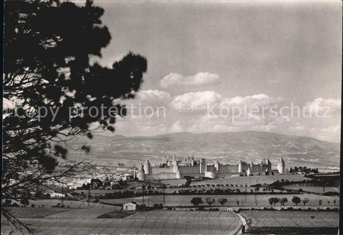 Carcassonne La Citè