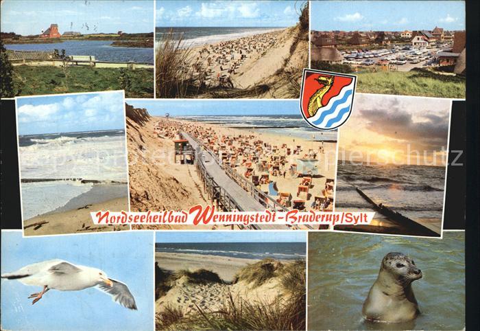 Wenningstedt Sylt Bruderup Strand Seehund