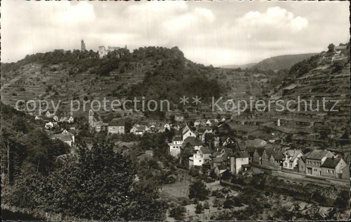 Bad Duerkheim Klosterruine Limburg Panorama