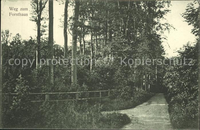 Bad Rothenfelde Weg zum Forsthaus