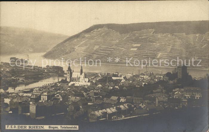 Bingen Rhein Totalansicht