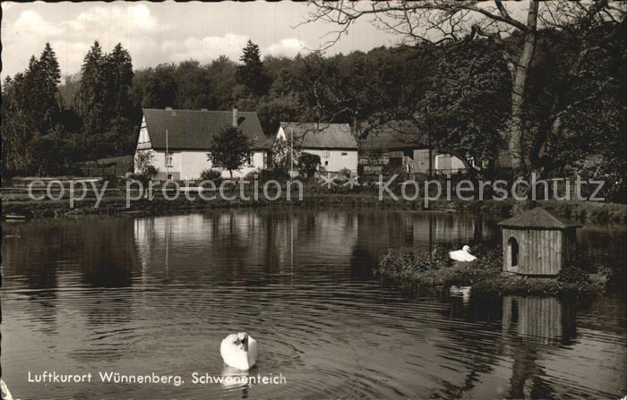 Wuennenberg Schwanenteich