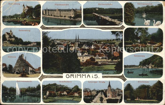 Grimma Gattersburg Fuerstenschule Muldenbruecke Schwanenteich Rathaus Stadtblick