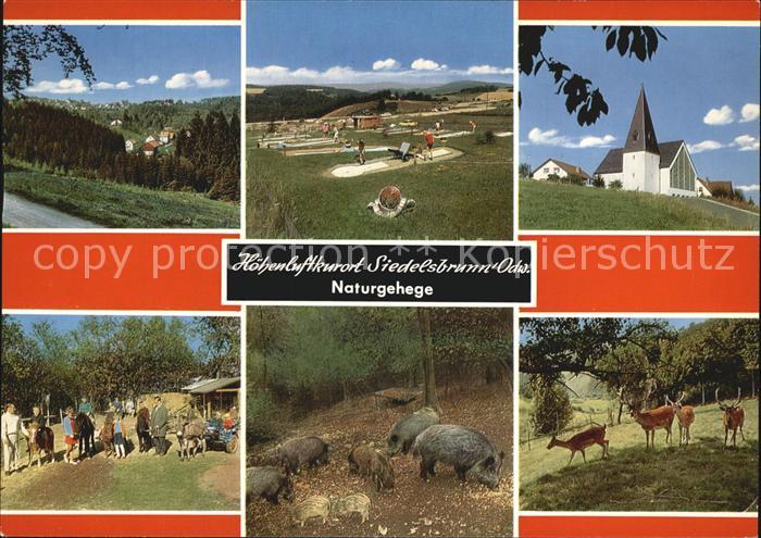 Siedelsbrunn Hoehengaststaette Morgenstern Naturgehege Kirche Minigolfanlage