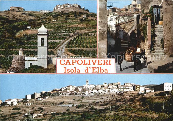 Capoliveri Schloss Dorfmotiv Panorama