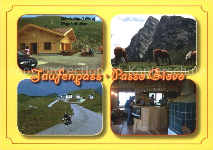 Passo del Giovo Jaufenpass Edelweisshuette Bar Teilansicht Pferde