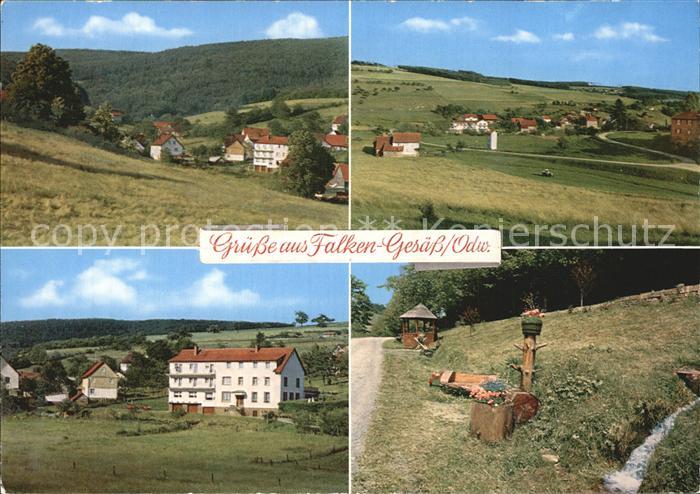 Falken-Gesaess Gasthaus Pension Zur Rose Panorama Brunnen