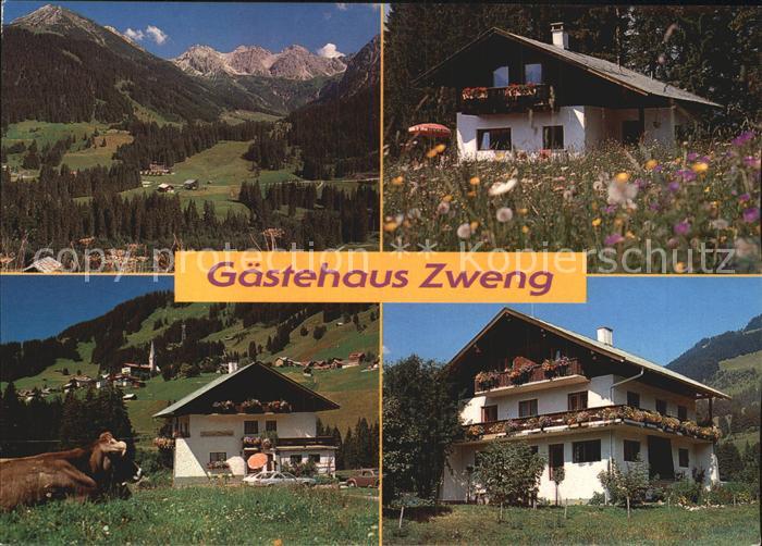Mittelberg Kleinwalsertal Gaestehaus Zweng Panorama