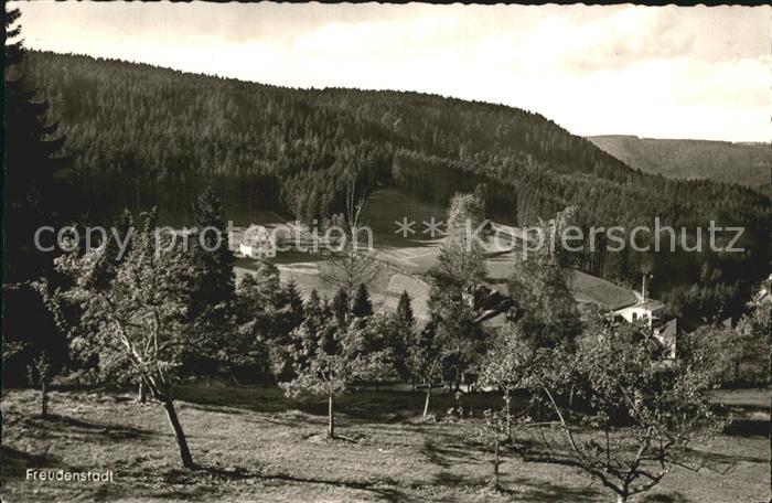 FREUDENSTADT BW Blick ins Christofstal mit Baerenschloessle Schwarzwald