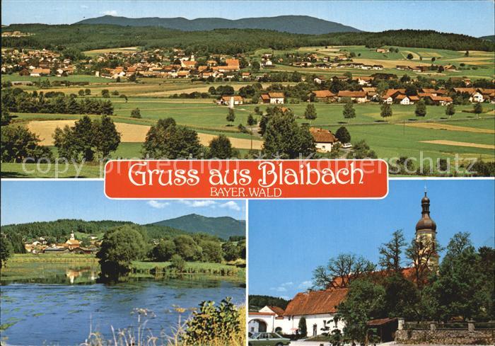 Blaibach Panorama Bayerischer Wald Kirche Partie am Fluss
