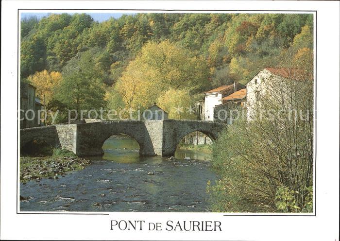 Saurier Pont Collection Image d Auvergne en automne