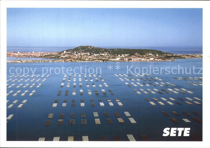 Sete Herault Bassin de Thau Parcs a huitres Ile Singuliere vue aerienne