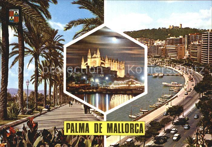 Palma de Mallorca Paseo Sagrera Vista nocturna Paseo Maritimo